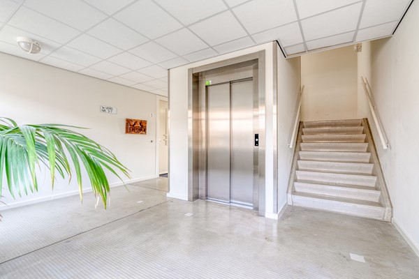 FREYJAPLANTSOEN 3-4.jpg